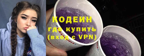 хмурый Богородицк